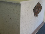 Reception Desk 2